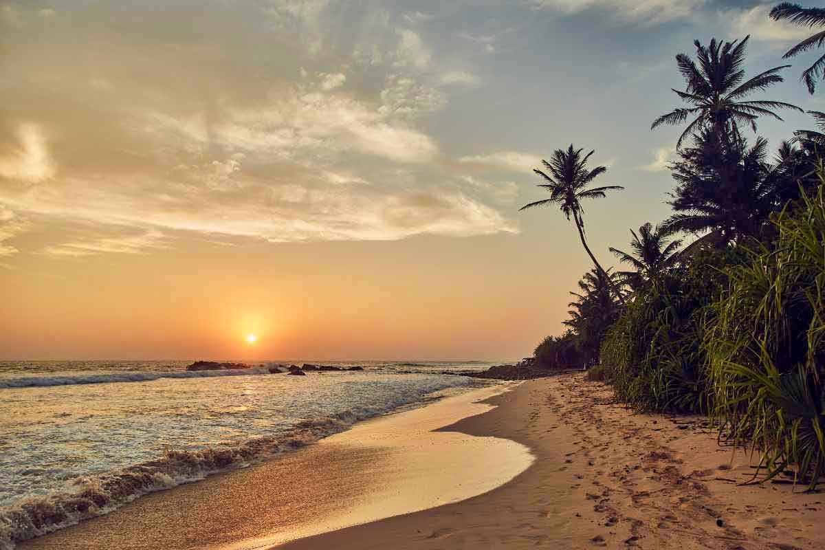 weligama-min